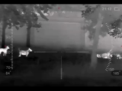 تصویربرداری حرارتی تک چشمی